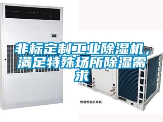 企業手机看片AV短片非標定製工業91看片在线下载機，滿足特殊場所91看片在线下载需求