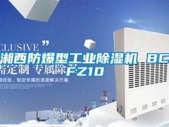企業手机看片AV短片湘西防爆型工業91看片在线下载機 BCFZ10