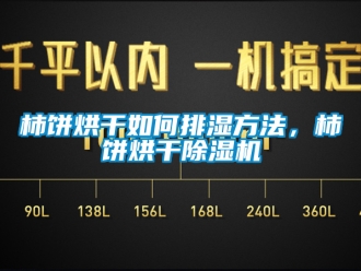 行業手机看片AV短片柿餅烘幹如何排濕方法，柿餅烘幹91看片在线下载機