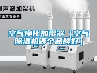 企業手机看片AV短片空氣淨化加濕器（空氣91看片在线下载機哪個品牌好）