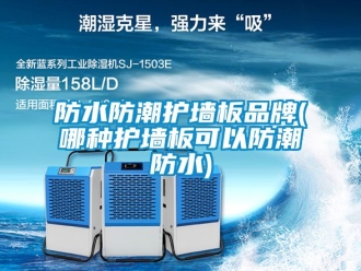 常見問題防水防潮護牆板品牌(哪種護牆板可以防潮防水)