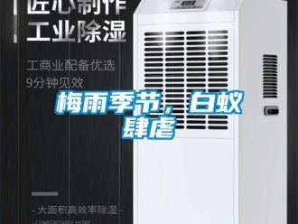 行業手机看片AV短片梅雨季節，白蟻肆虐