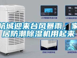 行業手机看片AV短片杭城迎來台風暴雨，家居防潮91看片在线下载機用起來