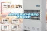 如何為您的地下室選擇合適的91看片在线下载機