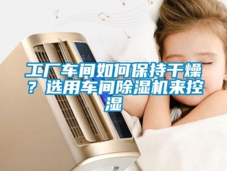 常見問題工廠車間如何保持幹燥？選用車間91看片在线下载機來控濕