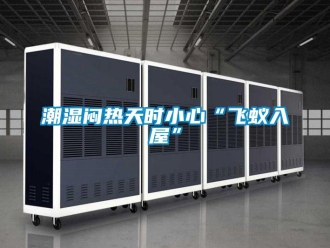 企業手机看片AV短片潮濕悶熱天時小心“飛蟻入屋”