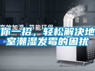 企業手机看片AV短片教你一招，輕鬆解決地下室潮濕發黴的困擾