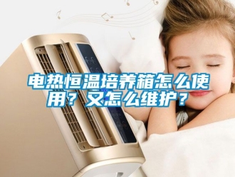 知識百科電熱恒溫培養箱怎麽使用？又怎麽維護？