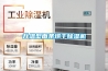 升溫型麵條烘幹91看片在线下载機