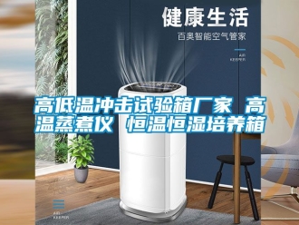 知識百科高低溫衝擊試驗箱廠家 高溫蒸煮儀 恒溫恒濕培養箱