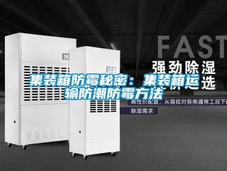 常見問題集裝箱防黴秘密：集裝箱運輸防潮防黴方法