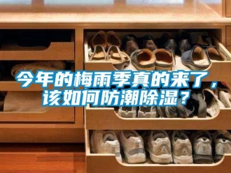 常見問題今年的梅雨季真的來了，該如何防潮91看片在线下载？
