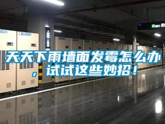 常見問題天天下雨牆麵發黴怎麽辦，試試這些妙招！