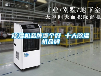 企業手机看片AV短片91看片在线下载機品牌哪個好 十大91看片在线下载機品牌