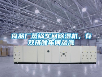 企業手机看片AV短片食品廠蒸鍋車間91看片在线下载機，有效排除車間蒸汽