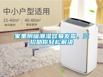 行業手机看片AV短片家裏陰暗潮濕容易發黴，三招助你輕鬆解決