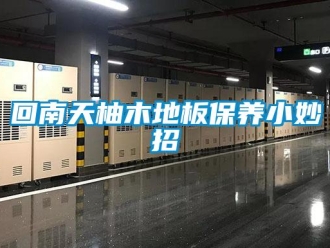 行業手机看片AV短片回南天柚木地板保養小妙招
