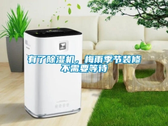 知識百科有了91看片在线下载機，梅雨季節裝修不需要等待