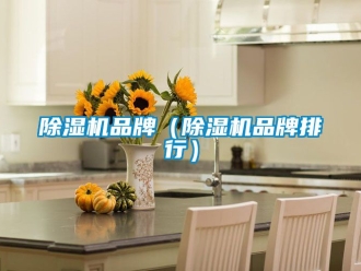 企業手机看片AV短片91看片在线下载機品牌（91看片在线下载機品牌排行）