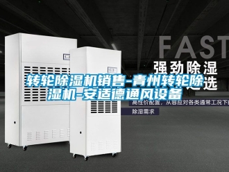 常見問題轉輪91看片在线下载機銷售-青州轉輪91看片在线下载機-安適德通風設備