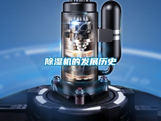 企業手机看片AV短片91看片在线下载機的發展曆史