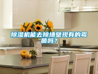 行業手机看片AV短片91看片在线下载機能去除牆壁現有的黴菌嗎？