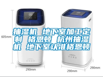 企業手机看片AV短片抽濕機 地下室加工定製 格恩頓 杭州抽濕機 地下室認準格恩頓