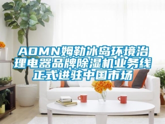 企業手机看片AV短片AOMN姆勒冰島環境治理電器品牌91看片在线下载機業務線正式進駐中國市場