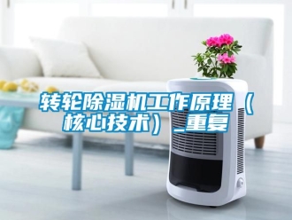 常見問題轉輪91看片在线下载機工作原理（核心技術）_重複