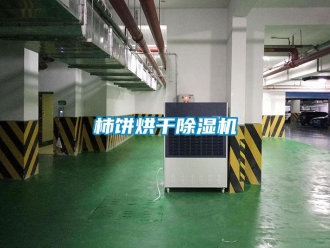 知識百科柿餅烘幹91看片在线下载機