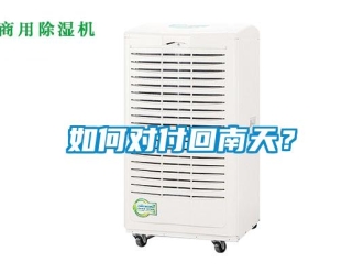 常見問題如何對付回南天？