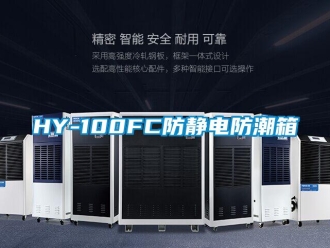 企業手机看片AV短片HY-100FC防靜電防潮箱