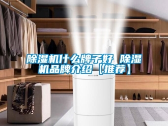 企業手机看片AV短片91看片在线下载機什麽牌子好 91看片在线下载機品牌介紹【推薦】