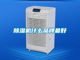 企業手机看片AV短片91看片在线下载機什麽品牌最好