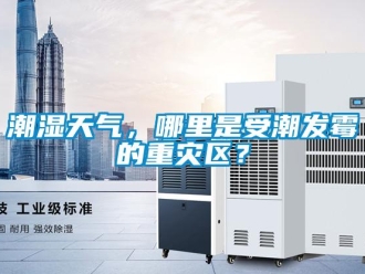 企業手机看片AV短片潮濕天氣，哪裏是受潮發黴的重災區？