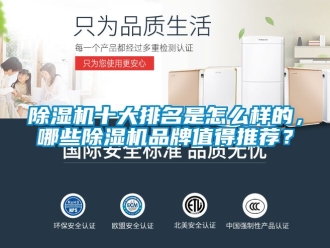 企業手机看片AV短片91看片在线下载機十大排名是怎麽樣的，哪些91看片在线下载機品牌值得推薦？