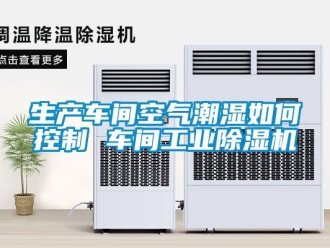 常見問題生產車間空氣潮濕如何控製 車間工業91看片在线下载機