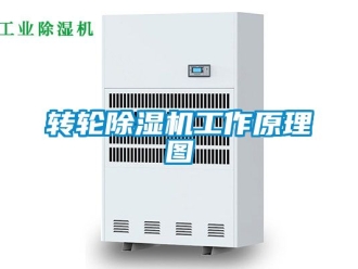 常見問題轉輪91看片在线下载機工作原理圖