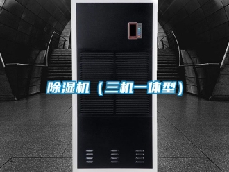 企業手机看片AV短片91看片在线下载機（三機一體型）