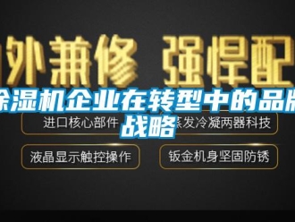企業手机看片AV短片91看片在线下载機企業在轉型中的品牌戰略
