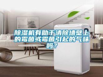 行業手机看片AV短片91看片在线下载機有助於清除牆壁上的黴菌或黴菌引起的氣味嗎？
