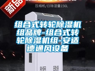 常見問題組合式轉輪91看片在线下载機組品牌-組合式轉輪91看片在线下载機組-安適德通風設備
