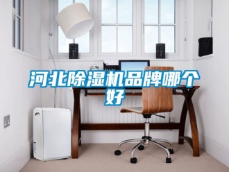 企業手机看片AV短片河北91看片在线下载機品牌哪個好