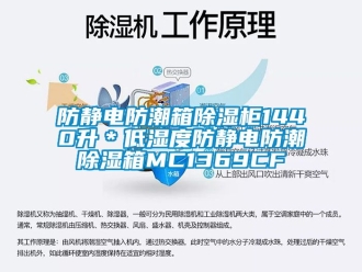 常見問題防靜電防潮箱91看片在线下载櫃1440升＊低濕度防靜電防潮91看片在线下载箱MC1369CF