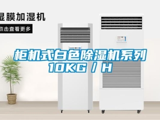 行業手机看片AV短片櫃機式白色91看片在线下载機係列10KG／H