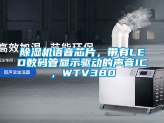 行業手机看片AV短片91看片在线下载機語音芯片，帶有LED數碼管顯示驅動的聲音IC，WTV380