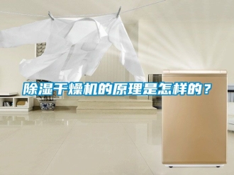 企業手机看片AV短片91看片在线下载幹燥機的原理是怎樣的？