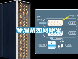 行業手机看片AV短片91看片在线下载機如何91看片在线下载