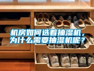 企業手机看片AV短片機房如何選著抽濕機，為什麽需要抽濕機呢？