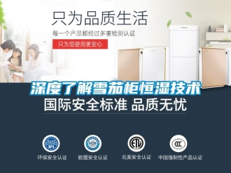 知識百科深度了解雪茄櫃恒濕技術